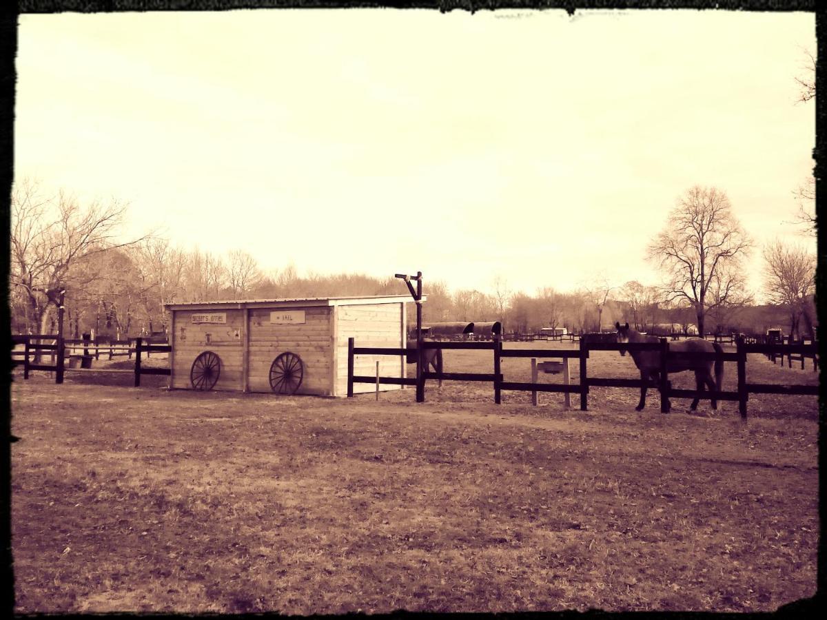 Bed and Breakfast Le Ranch Amadeus Saint-Paul-en-Born Exterior foto