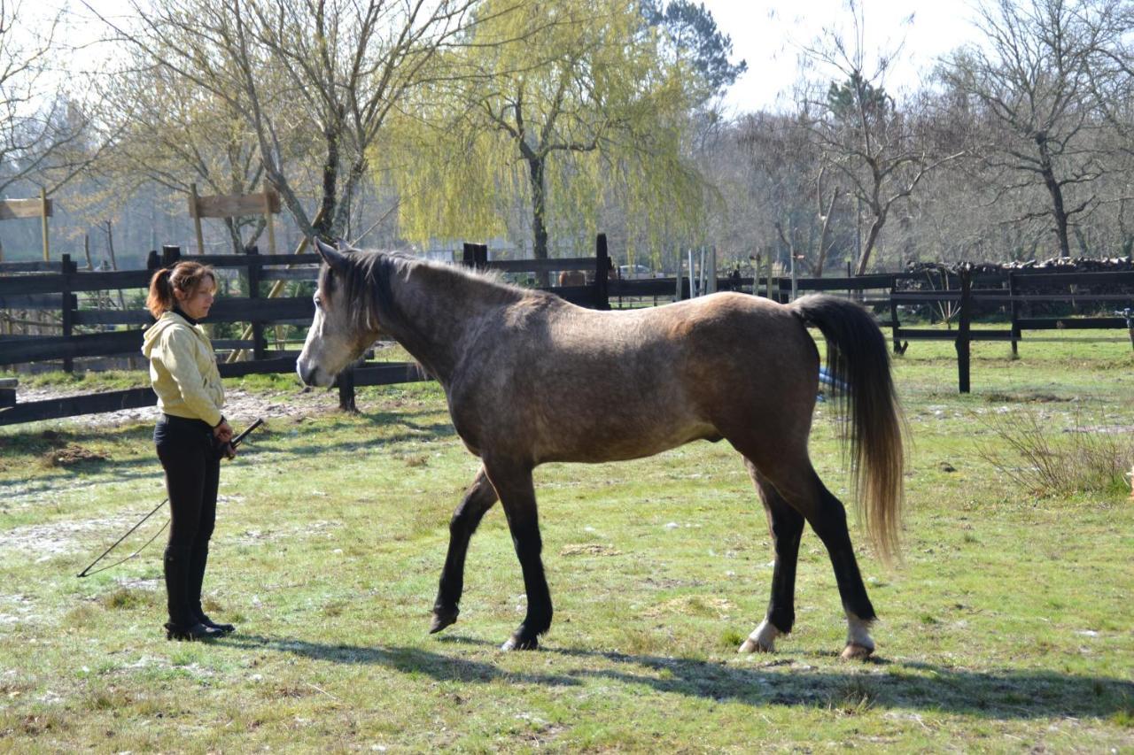 Bed and Breakfast Le Ranch Amadeus Saint-Paul-en-Born Exterior foto