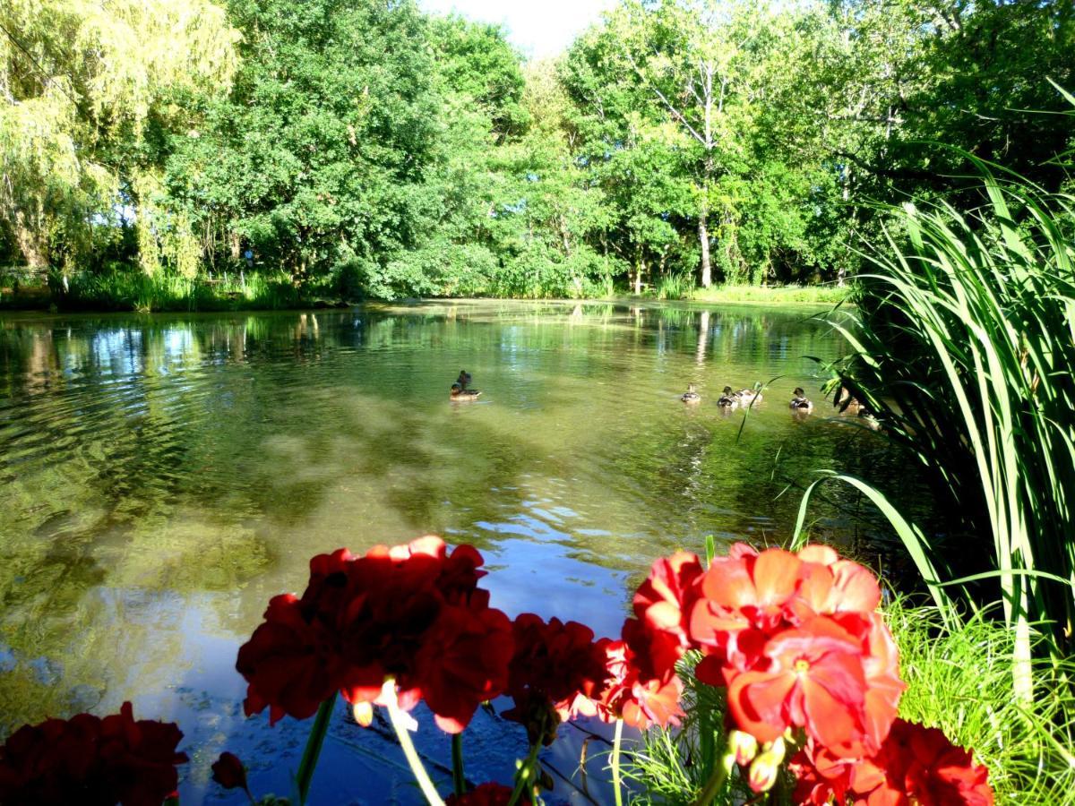 Bed and Breakfast Le Ranch Amadeus Saint-Paul-en-Born Exterior foto