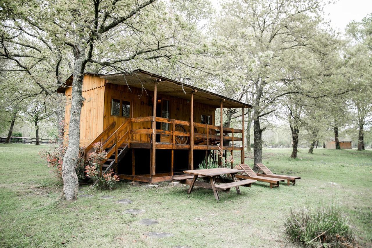 Bed and Breakfast Le Ranch Amadeus Saint-Paul-en-Born Exterior foto