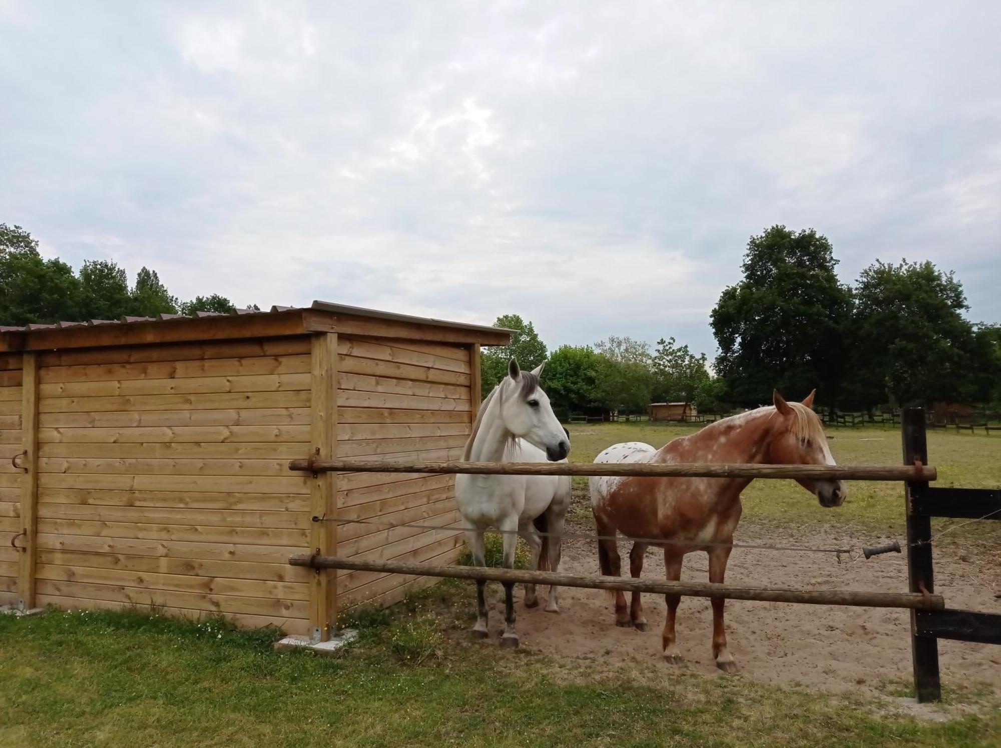 Bed and Breakfast Le Ranch Amadeus Saint-Paul-en-Born Exterior foto